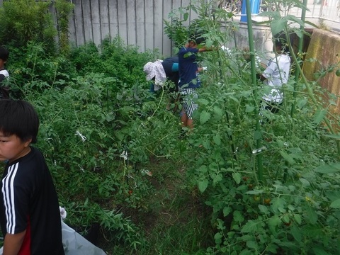 DSCF0213.jpg