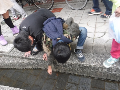 DSCF7389.JPG