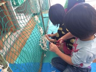 S__3817475.jpg