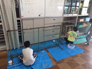 S__3817476.jpg
